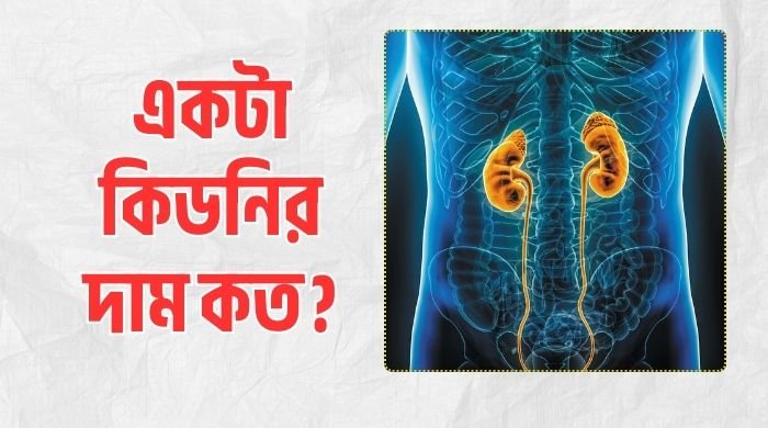 একটা কিডনির দাম কত